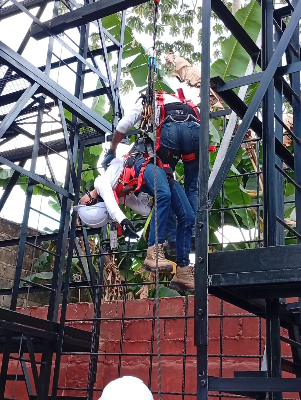 Simulación de Rescate